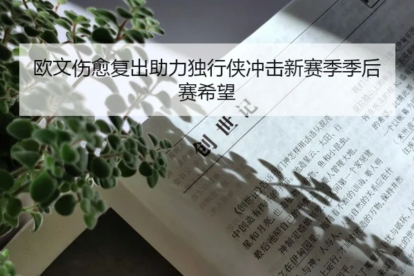 欧文伤愈复出助力独行侠冲击新赛季季后赛希望